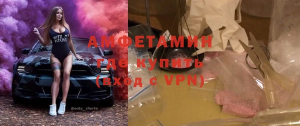 индика Балабаново