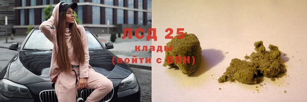 индика Балабаново