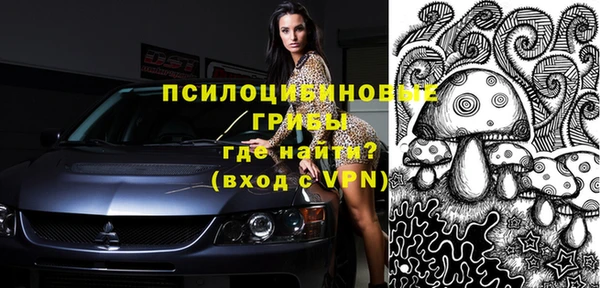 индика Балабаново
