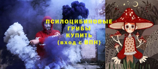индика Балабаново