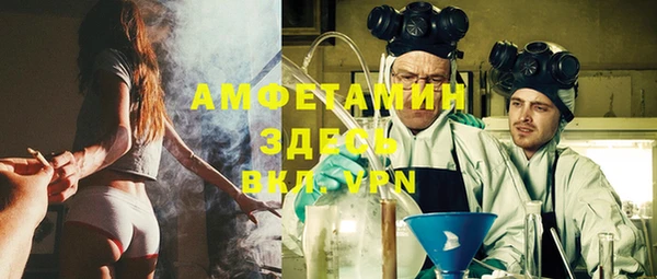 индика Балабаново